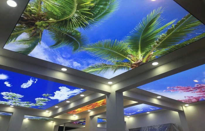 featured image